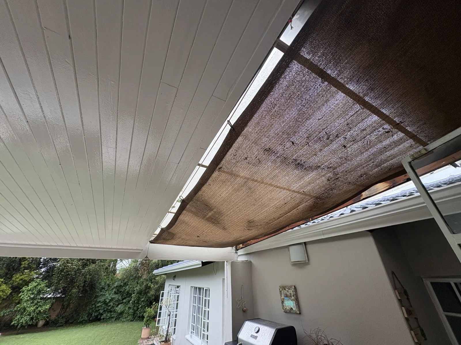Project 21 before