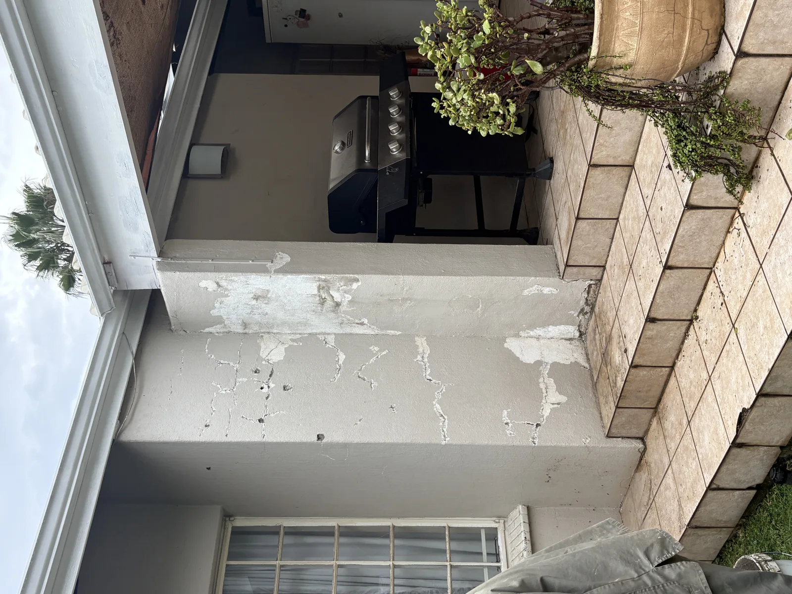 Project 19 before