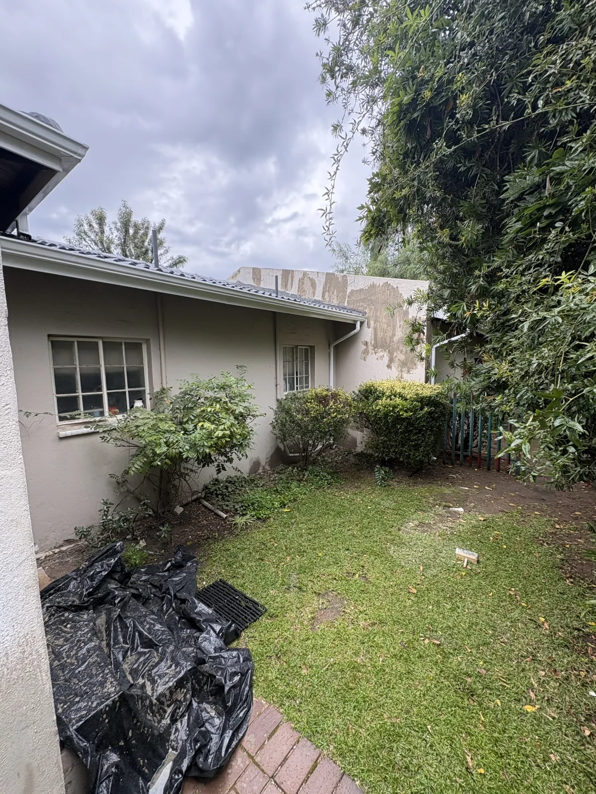 Project 11 before