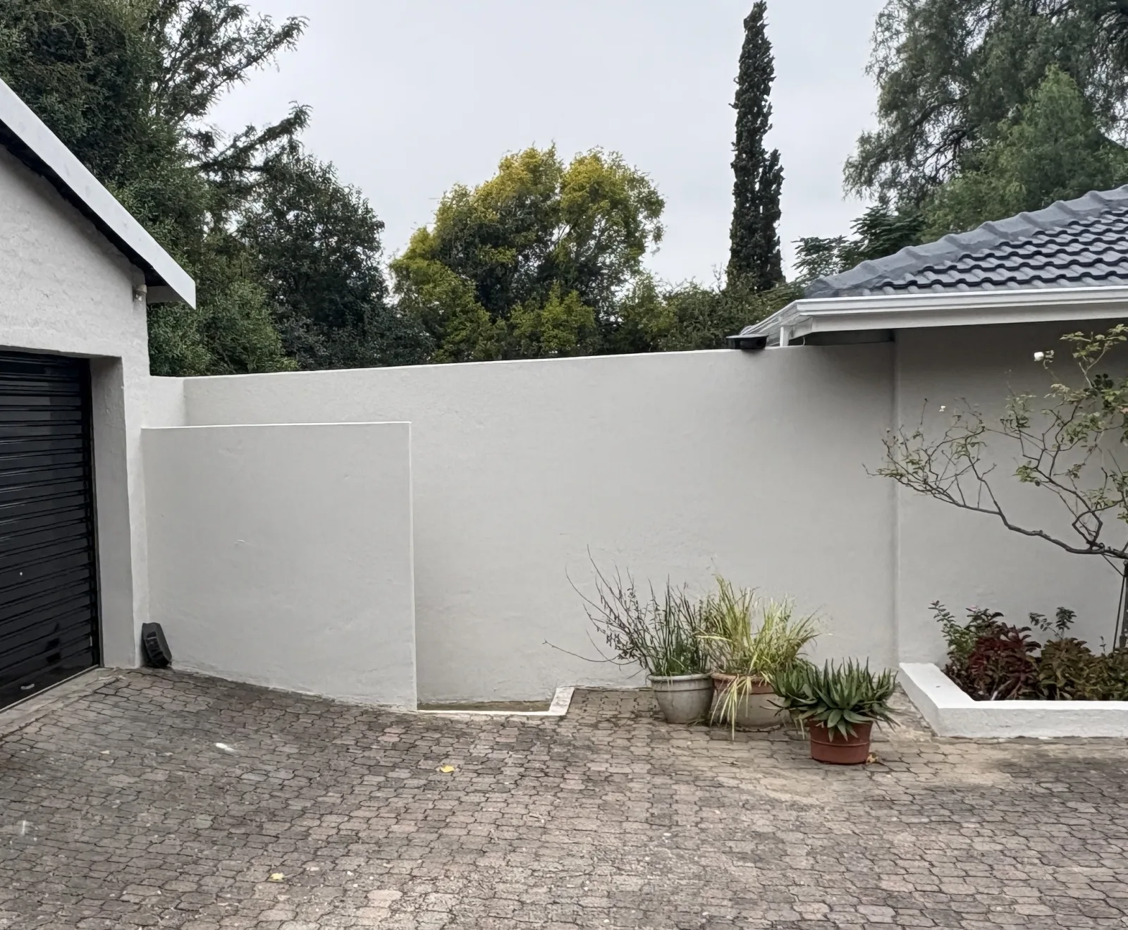 Project 29 after