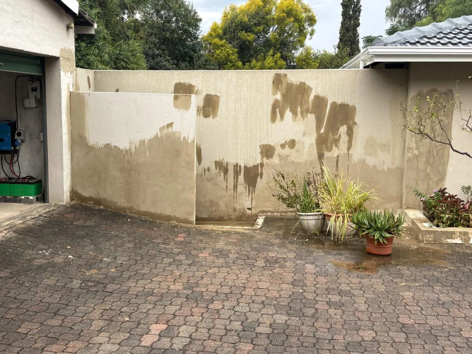 Project 29 before